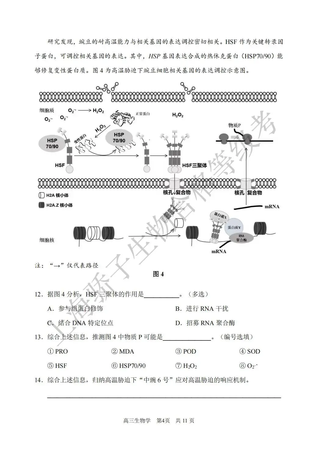 2026.4 浦东新区生物二模试卷及答案 第4张