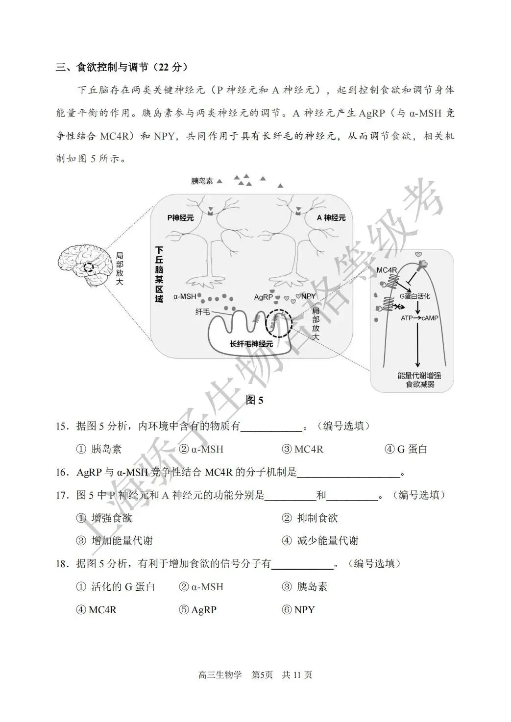 2026.4 浦东新区生物二模试卷及答案 第5张