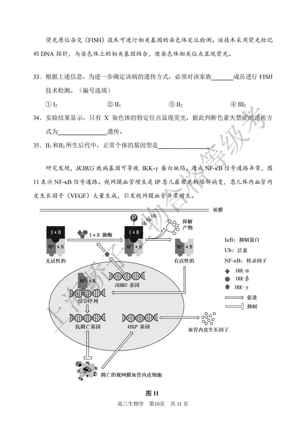 2026.4 浦东新区生物二模试卷及答案 第10张
