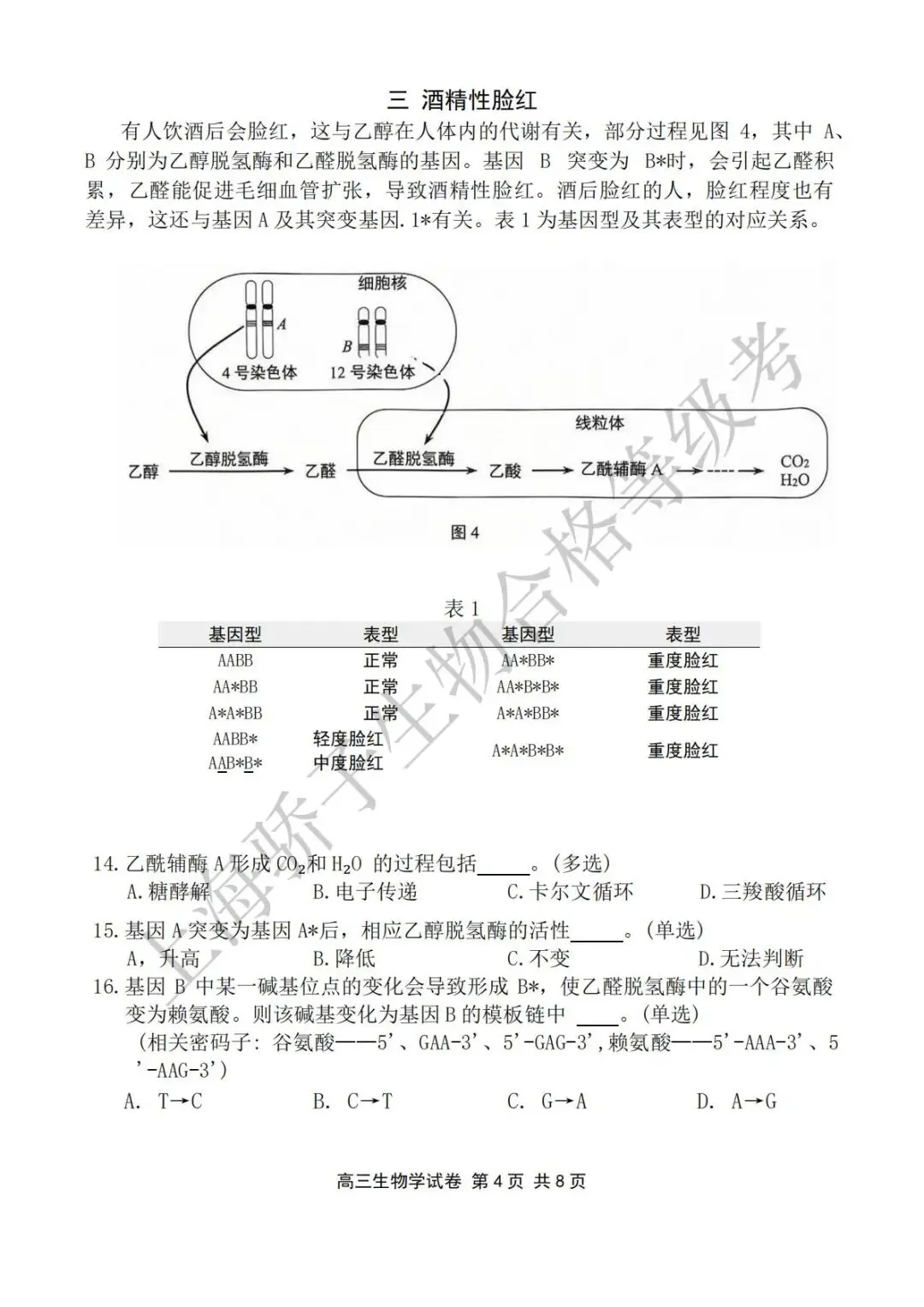2026.4 静安&普陀二模试卷及答案 第5张
