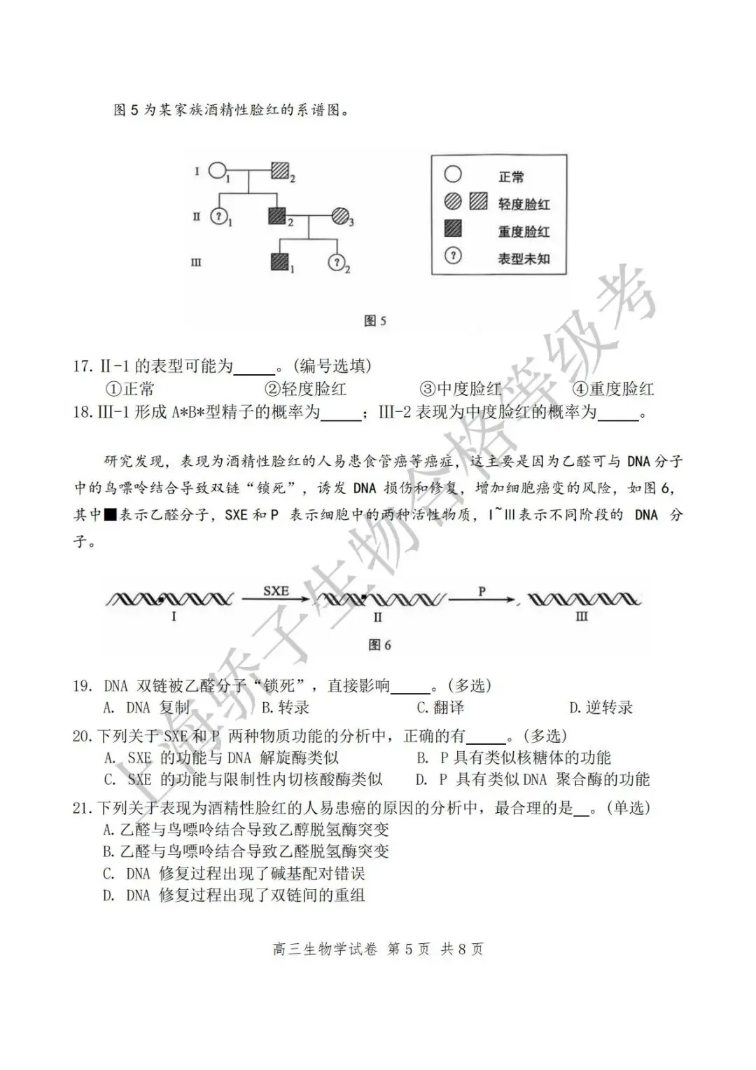 2026.4 静安&普陀二模试卷及答案 第6张
