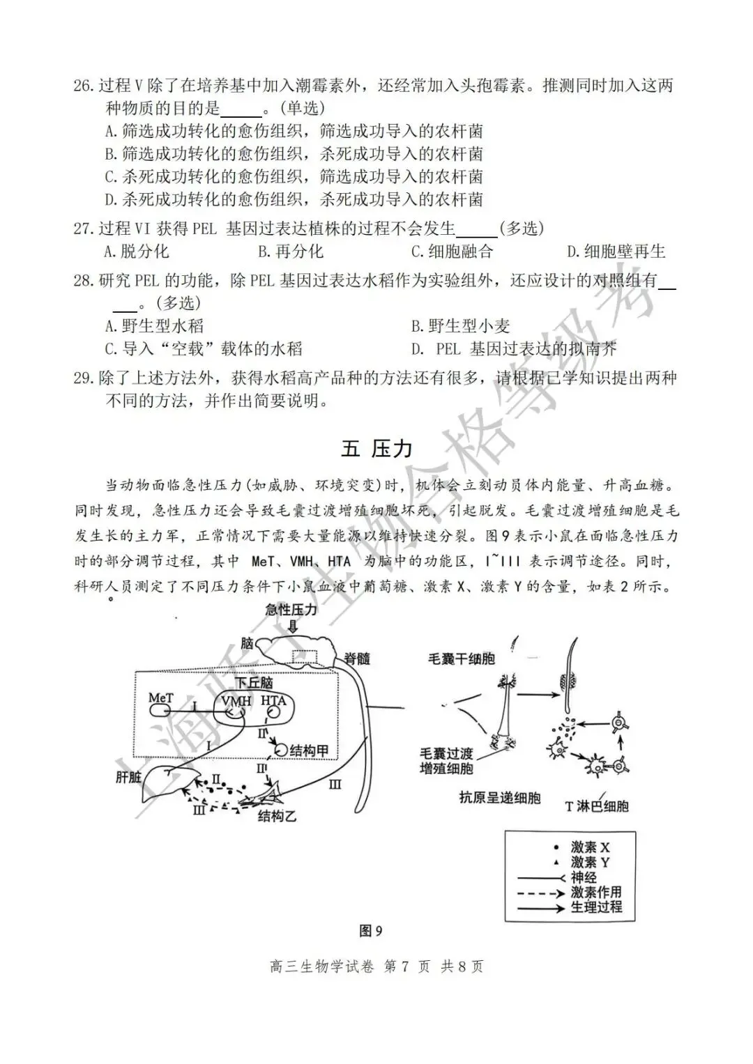 2026.4 静安&普陀二模试卷及答案 第8张