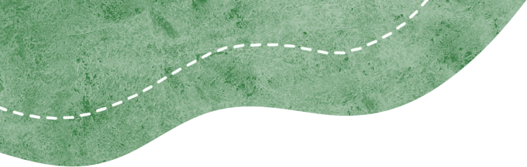 研思赋能备中考 聚力笃行启新程 ——我校成功承办2026年亭湖区生物复习研讨会 第1张