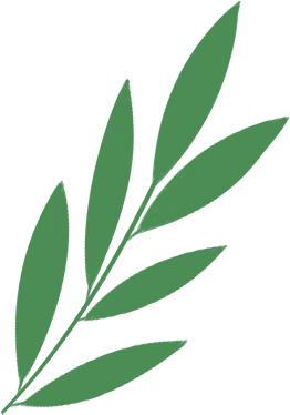 研思赋能备中考 聚力笃行启新程 ——我校成功承办2026年亭湖区生物复习研讨会 第9张