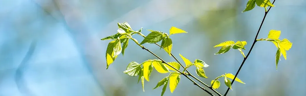 【高考备考】从高考真题看醛酮的亲核加成 第3张