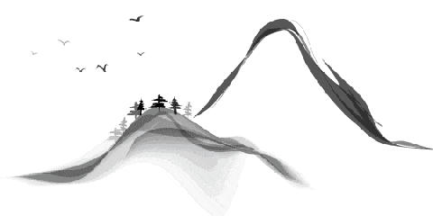 中考复习——【名著导读·专题探究】友谊之光 第1张