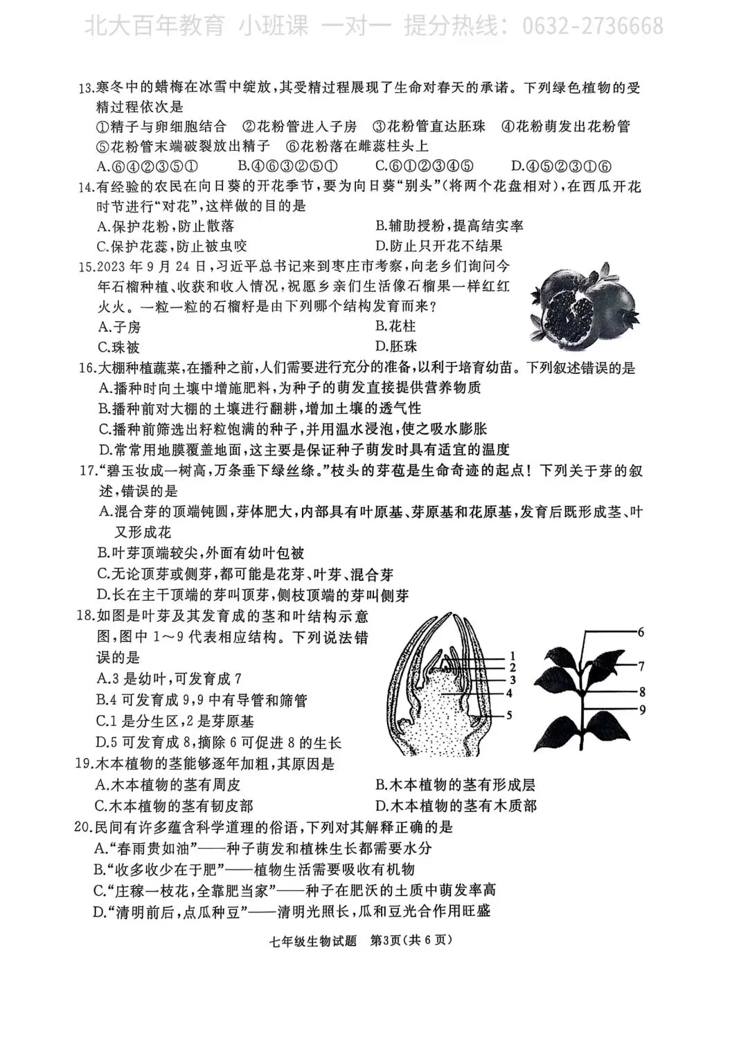 【期中真题】滕州市2025年七年级下学期期中考试生物试题含答案 第4张