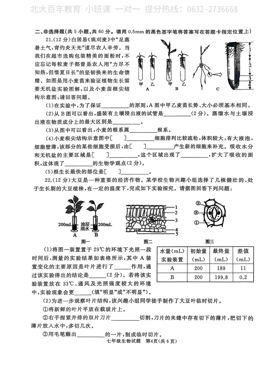 【期中真题】滕州市2025年七年级下学期期中考试生物试题含答案 第5张