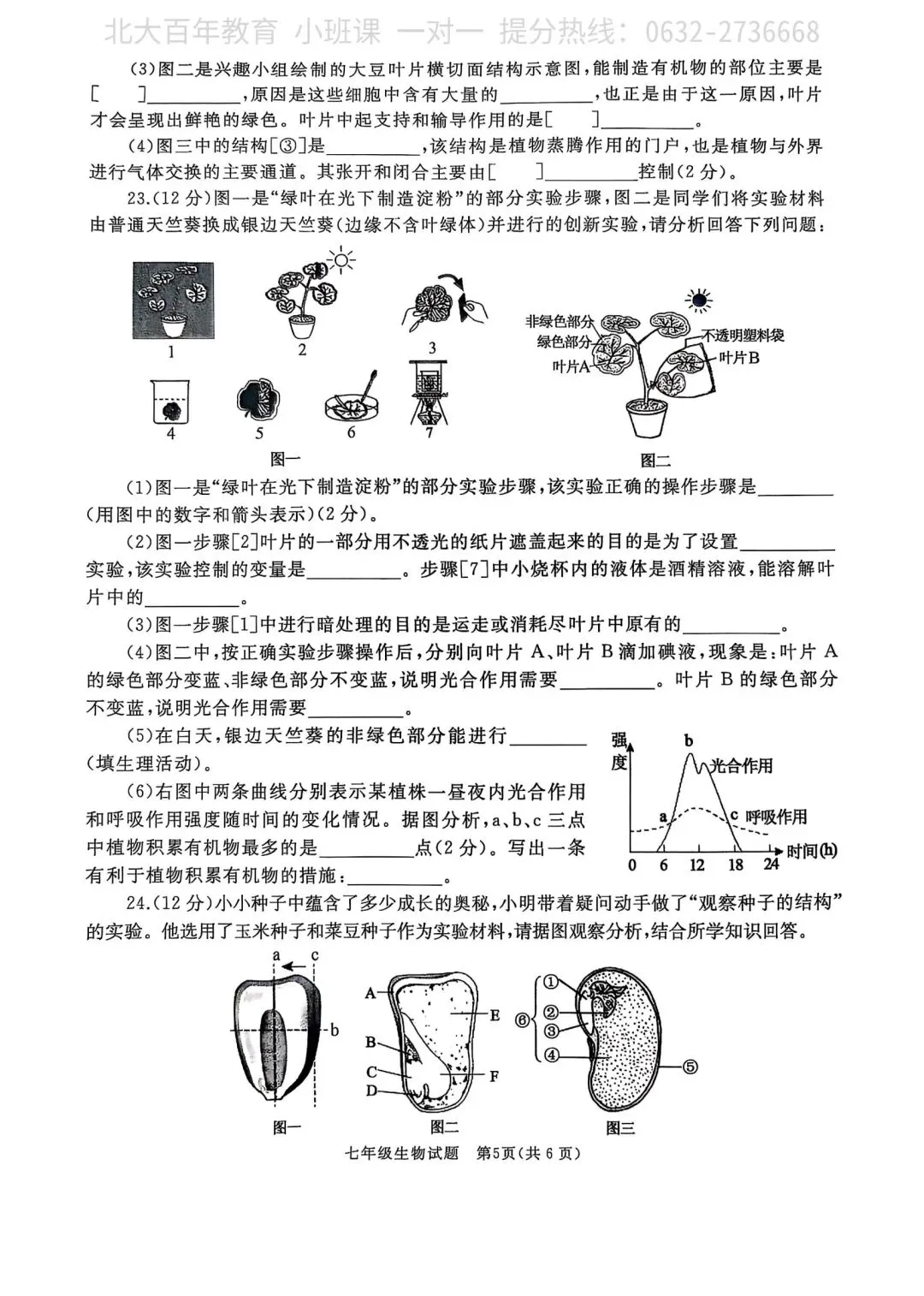 【期中真题】滕州市2025年七年级下学期期中考试生物试题含答案 第6张