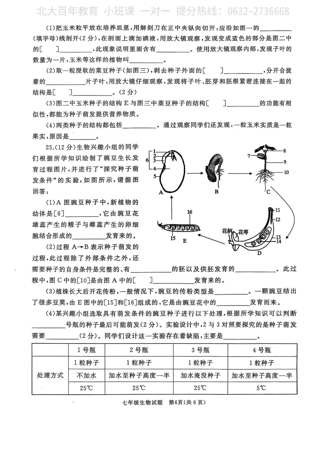【期中真题】滕州市2025年七年级下学期期中考试生物试题含答案 第7张