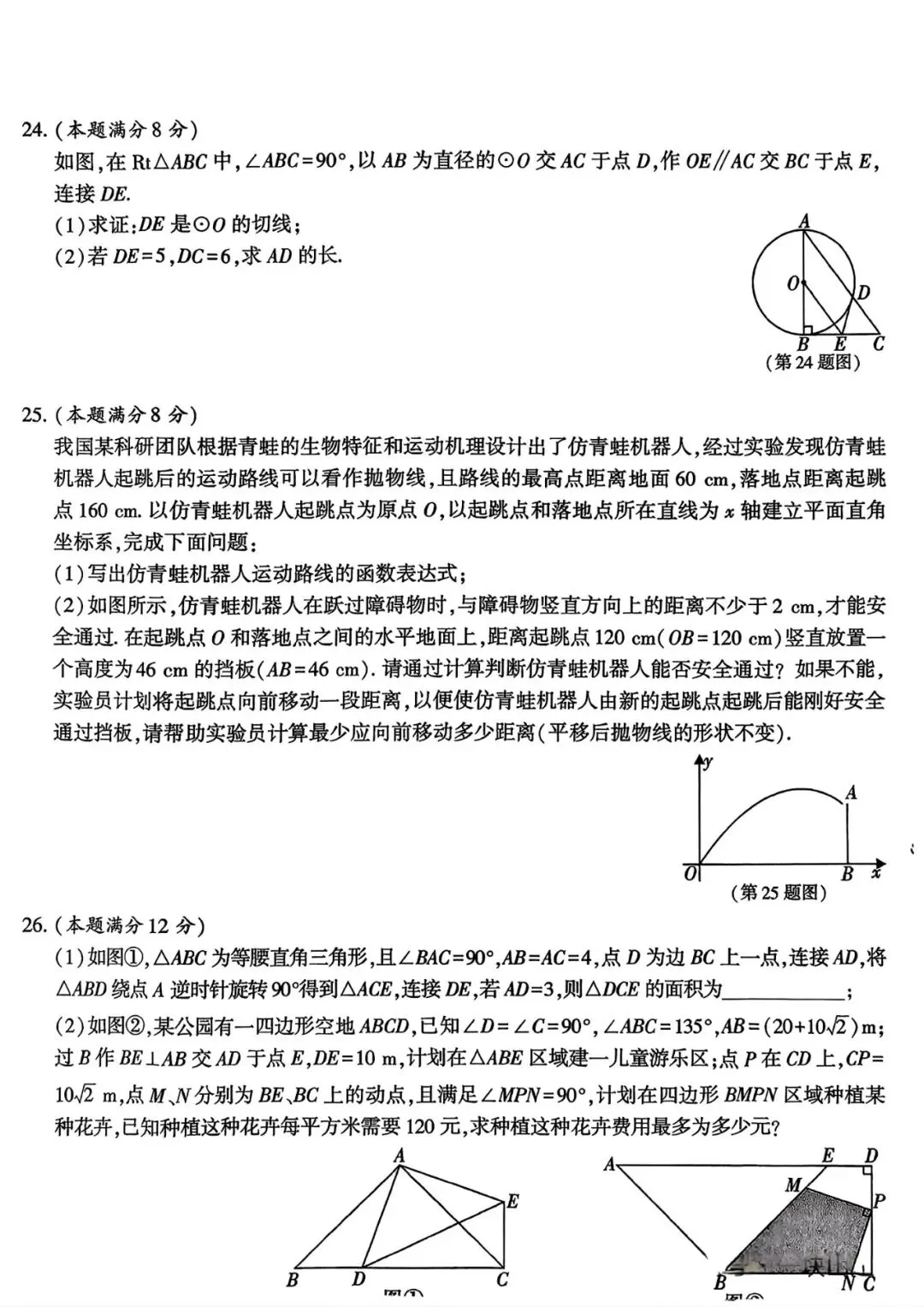 20026年长安区九年级一模数学试卷及答案解析 第7张