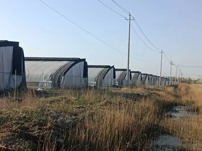 26真题:《消费者权益保护法》规定:因为虚假广告,广告经营者、媒体、明星代言人等都要承担连带责任,请问你怎么看? 第2张 26真题:《消费者权益保护法》规定:因为虚假广告,广告经营者、媒体、明星代言人等都要承担连带责任,请问你怎么看? 第2张