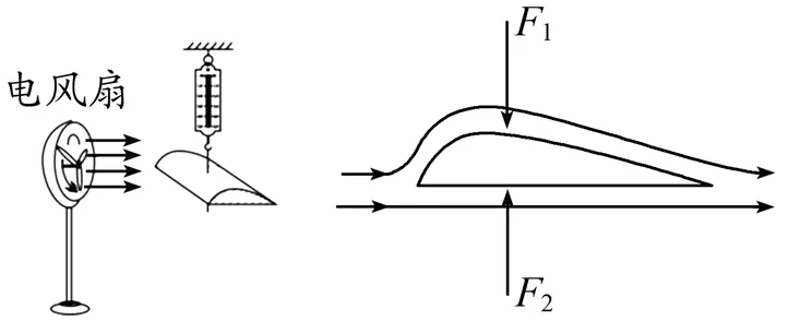 中考总复习10——压强 第7张