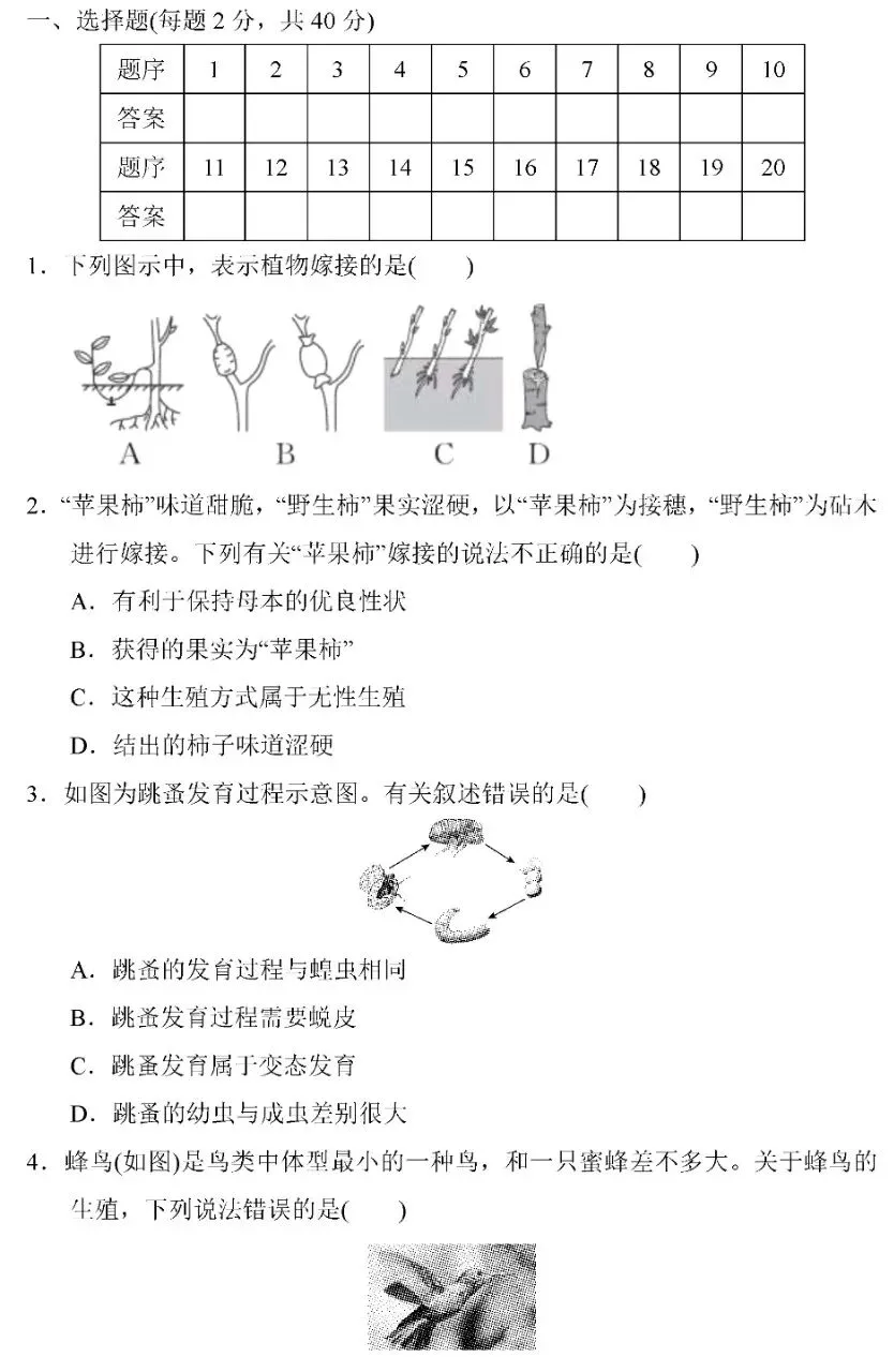 期中试题卷:人教版生物八年级下册期中考试试卷(2)2026 第2张
