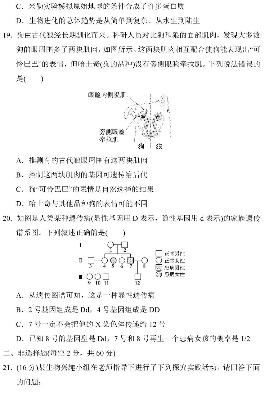 期中试题卷:人教版生物八年级下册期中考试试卷(2)2026 第6张
