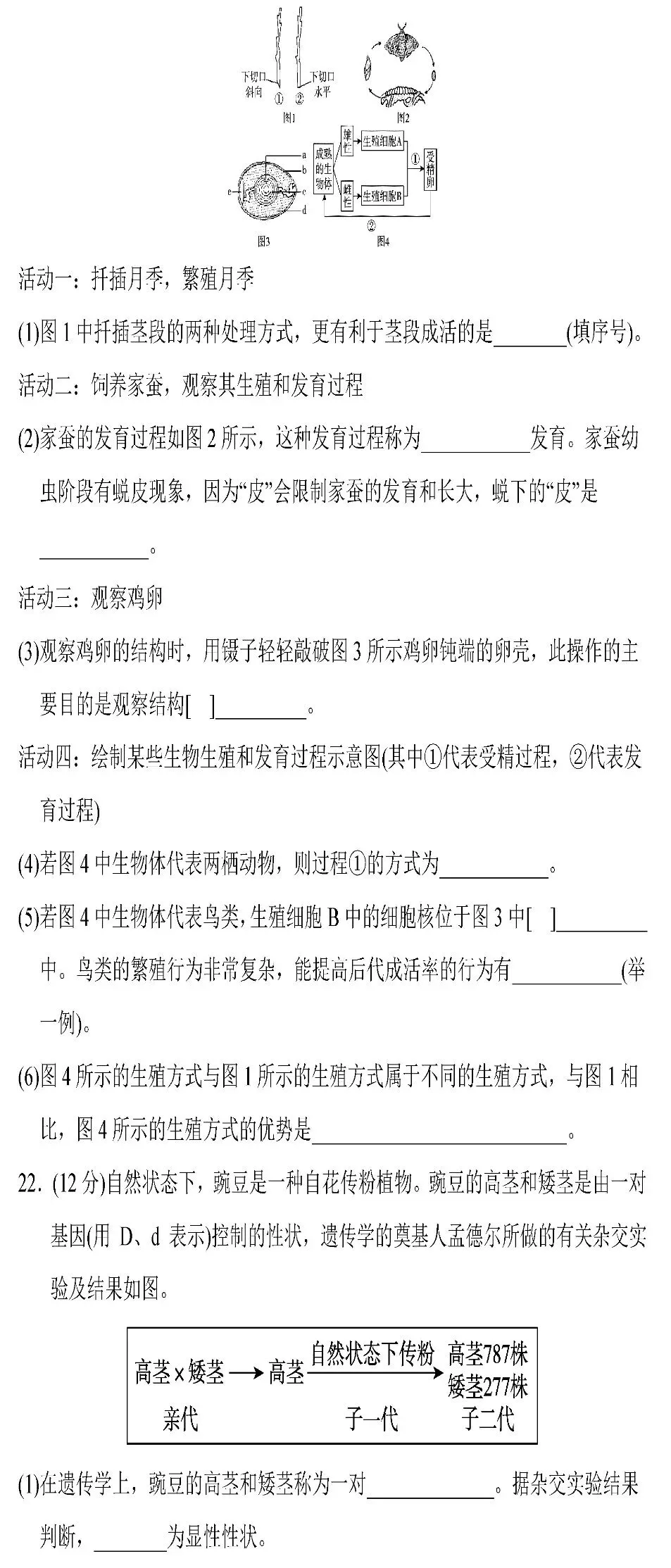 期中试题卷:人教版生物八年级下册期中考试试卷(2)2026 第7张
