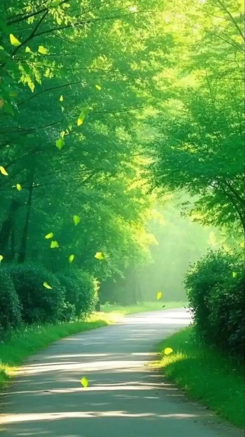 中考语文阅读专项指导——标题的 “含义” 与 “作用” 避坑攻略 第1张