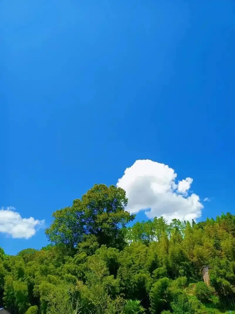 中考语文阅读专项指导——标题的 “含义” 与 “作用” 避坑攻略 第2张