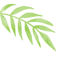 聚焦中考备考,共探语文良方——广东第二师范学院省级中小学教师发展中心阳东基地2026年语文备考能力提升活动在我校圆满举行 第2张 聚焦中考备考,共探语文良方——广东第二师范学院省级中小学教师发展中心阳东基地2026年语文备考能力提升活动在我校圆满举行 第2张