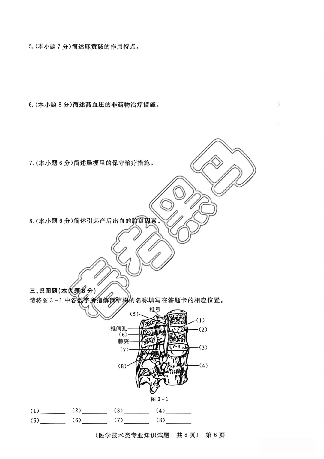 山东春考医学技术专业全真模拟考试题——2026年联合体第(四)次联考试题 第13张