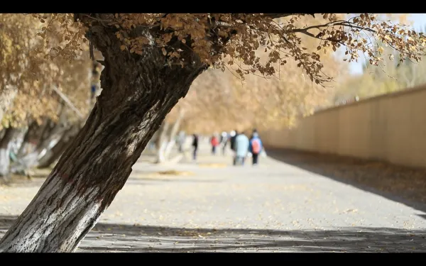 试卷发下去,讲一遍,然后呢? 第23张