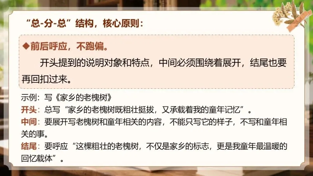 【中考作文万能模板】《说明文“总-分-总”结构模板》| 中考作文清晰说明! 第12张 【中考作文万能模板】《说明文“总-分-总”结构模板》| 中考作文清晰说明! 第12张