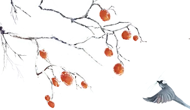 莲医考研 | 每日一题 真题精炼 24考研真题(152题) 第22张 莲医考研 | 每日一题 真题精炼 24考研真题(152题) 第22张