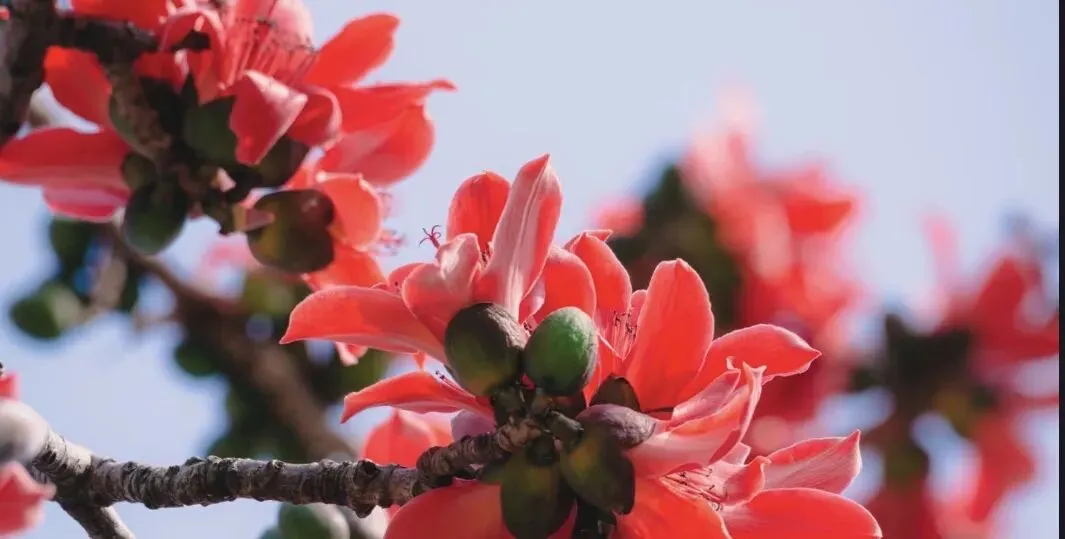 真题速递-二中月考: ____,让成长更有力量,考场43 -李誉嘉 第1张 真题速递-二中月考: ____,让成长更有力量,考场43 -李誉嘉 第1张