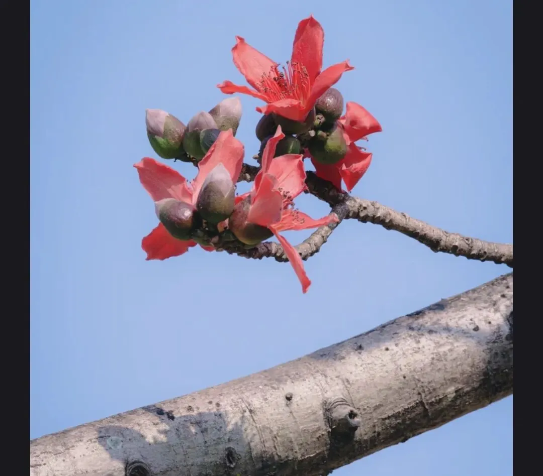 真题速递-二中月考: ____,让成长更有力量,考场43 -李誉嘉 第2张 真题速递-二中月考: ____,让成长更有力量,考场43 -李誉嘉 第2张