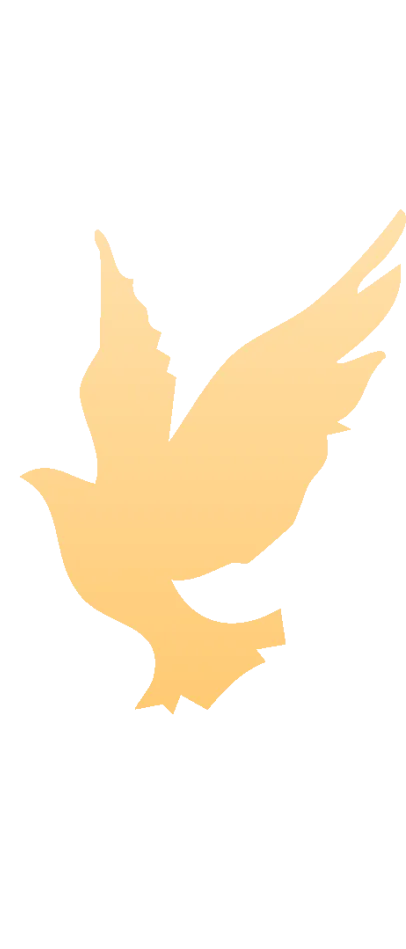 超全!深圳初中各区语文一模作文真题汇总! 第6张