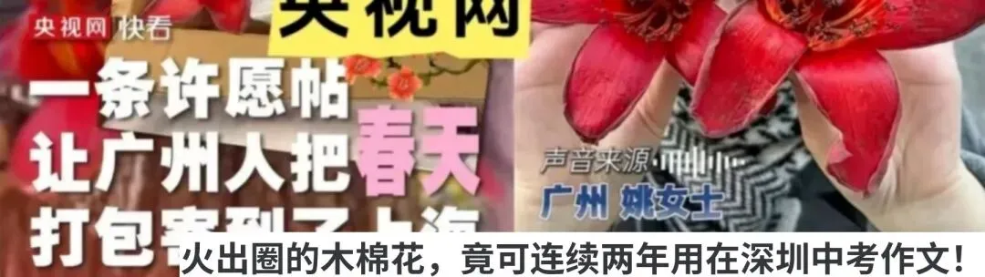 超全!深圳初中各区语文一模作文真题汇总! 第13张