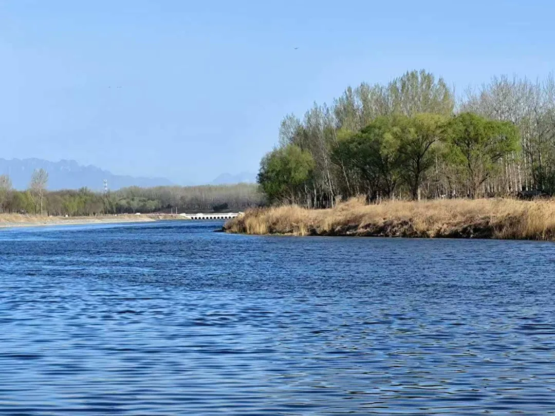 海淀一模试卷出来后,这类题型遭到学生家长集体吐槽? 第4张 海淀一模试卷出来后,这类题型遭到学生家长集体吐槽? 第4张