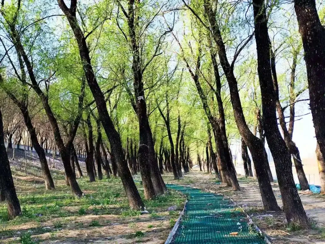 海淀一模试卷出来后,这类题型遭到学生家长集体吐槽? 第5张 海淀一模试卷出来后,这类题型遭到学生家长集体吐槽? 第5张