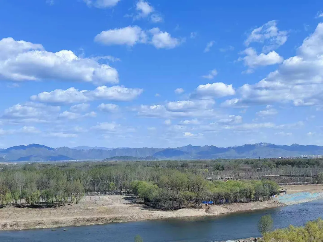 海淀一模试卷出来后,这类题型遭到学生家长集体吐槽? 第6张 海淀一模试卷出来后,这类题型遭到学生家长集体吐槽? 第6张