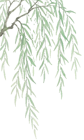 中考网格作图解密 第1张