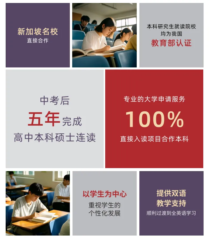 中考之后请查收丨新亚高级中学国际部新加坡班,低成本留学,学制短正规学校,升学无忧 第4张