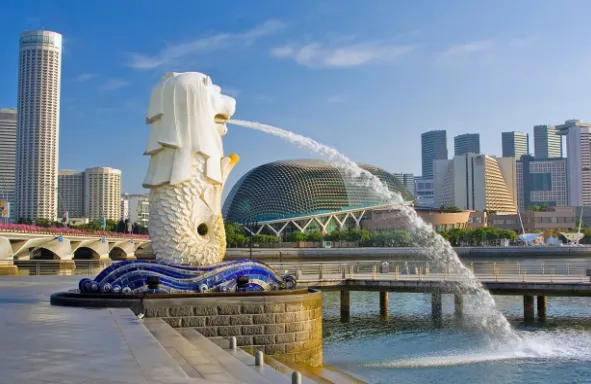 中考之后请查收丨新亚高级中学国际部新加坡班,低成本留学,学制短正规学校,升学无忧 第19张