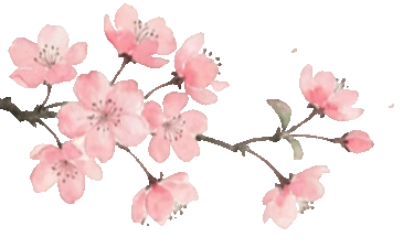 中考网格作图解密 第6张