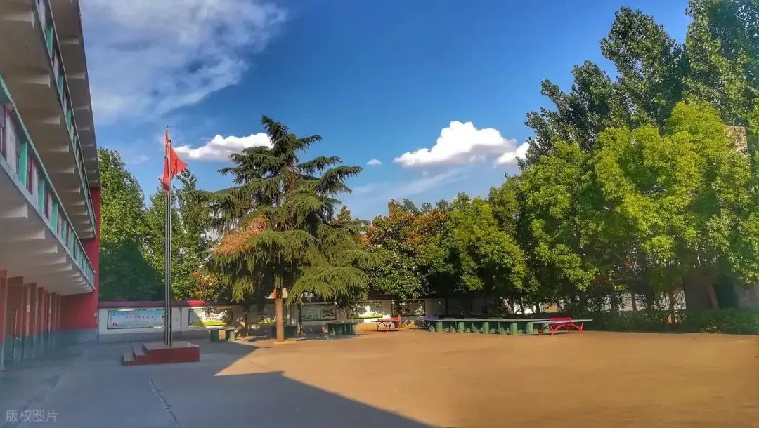 清远中考一模每年难度“爆表”?模考与中考分数差距有多大? 第9张