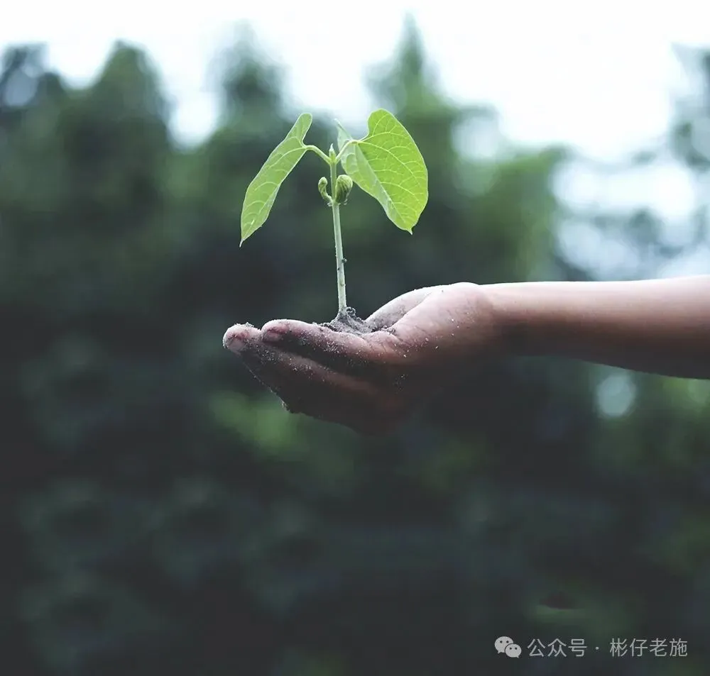 中考满分作文---纷纷雨落话清明 第3张