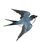 中考网格作图解密 第12张