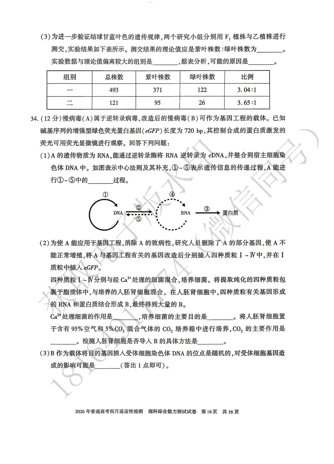 2026年自治区三模理综试卷及答案 第16张