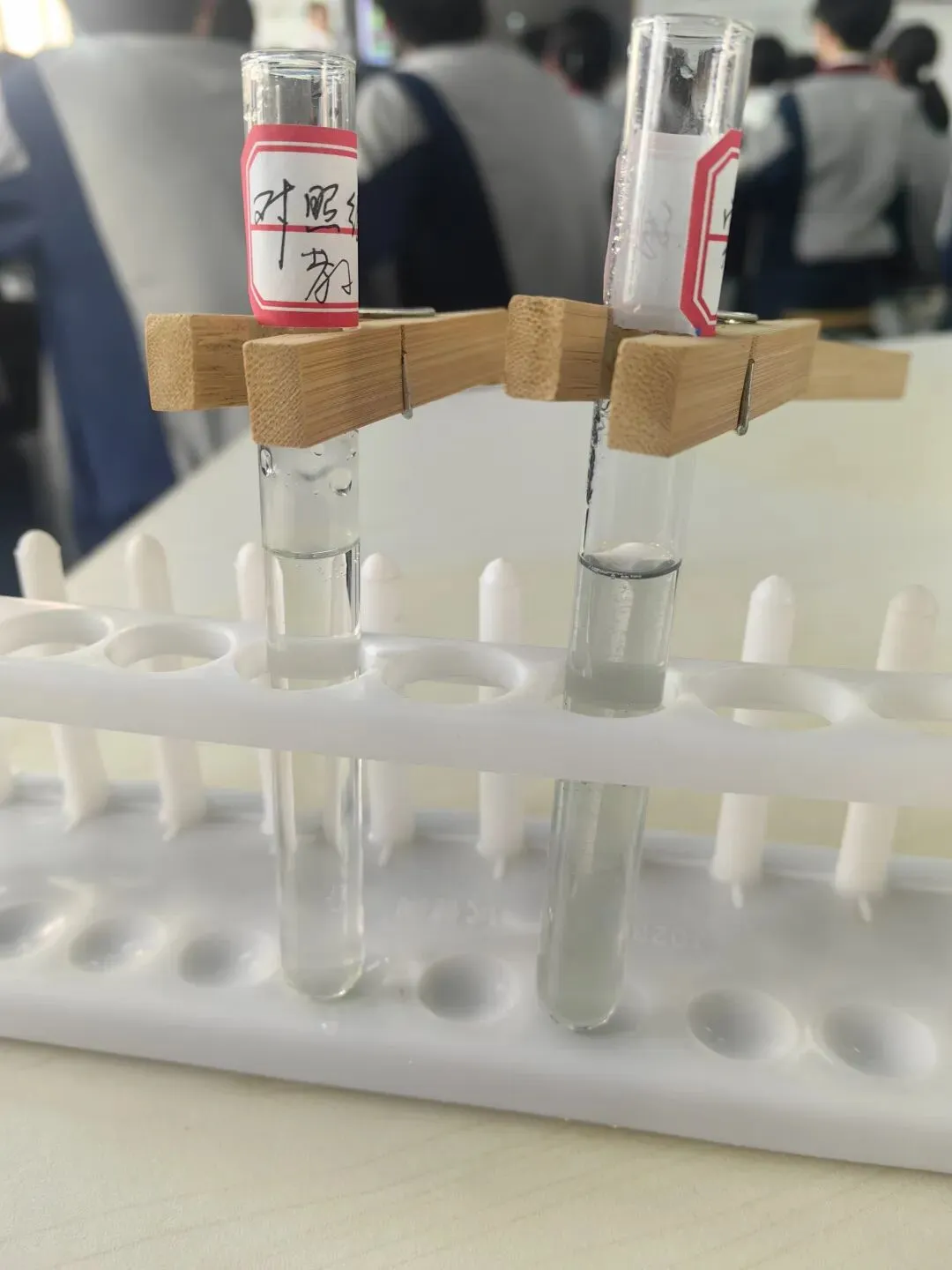 破难点、重实践、研真题——2026年桐城八中教学开放日学习心得 第6张