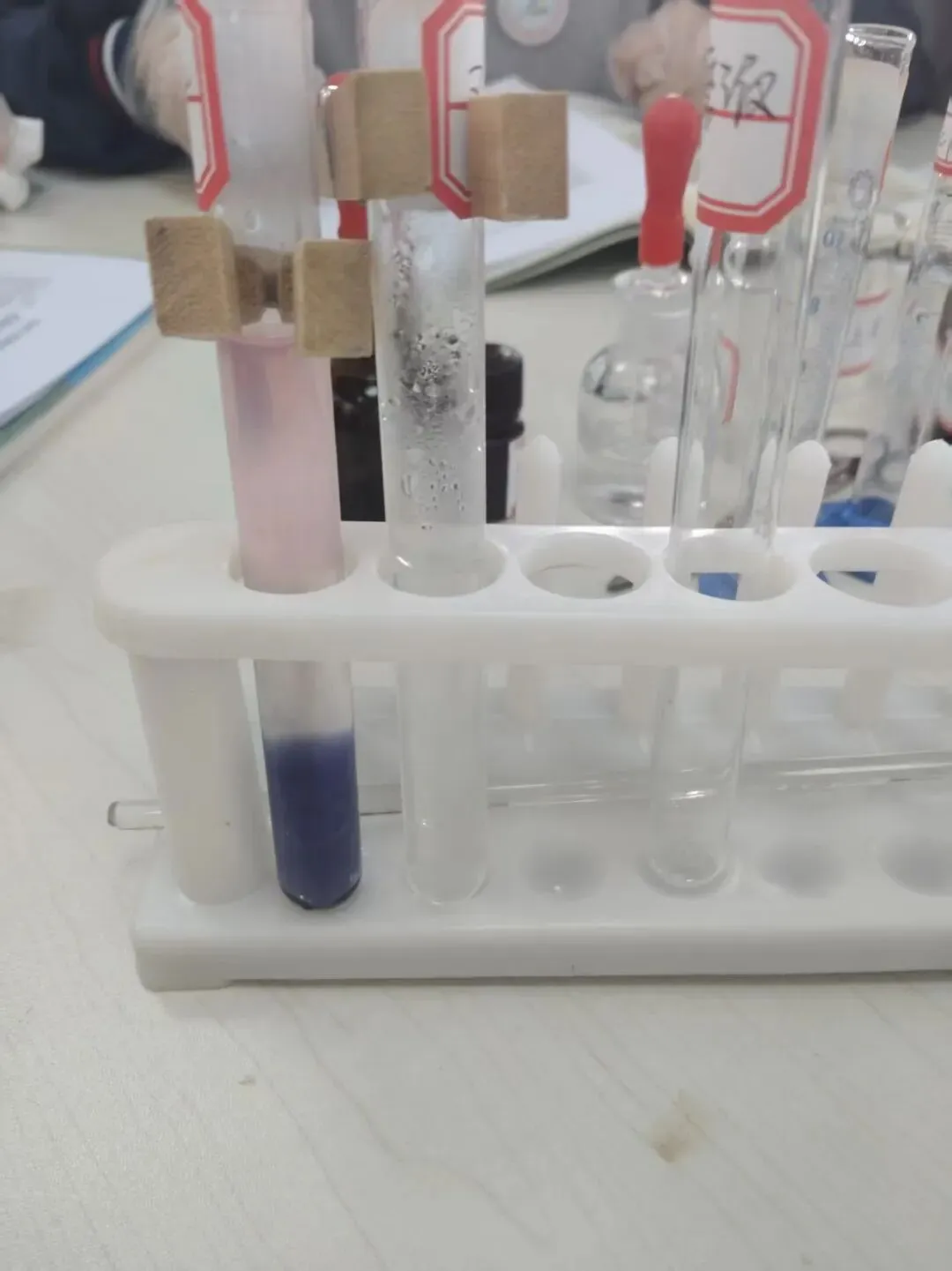 破难点、重实践、研真题——2026年桐城八中教学开放日学习心得 第7张