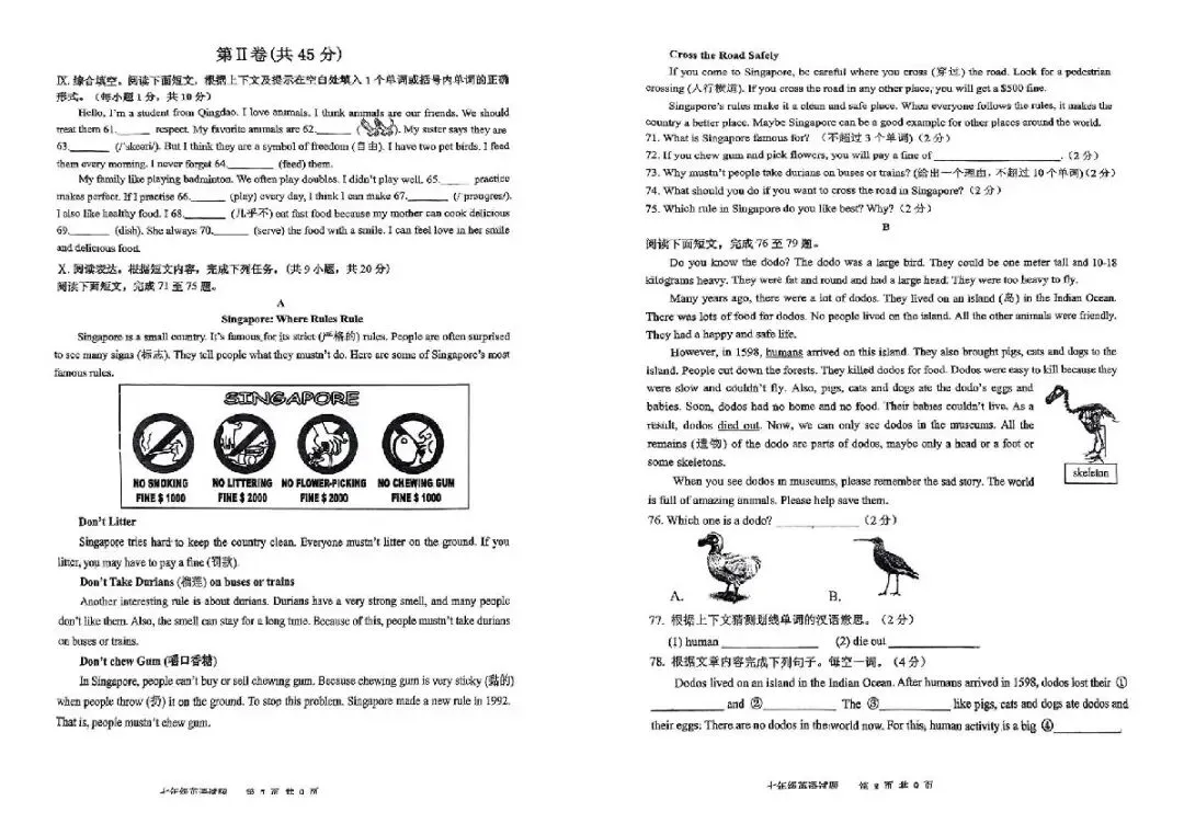 青岛西海岸七年级下册英语期中真题(2024-2025学年)含答案解析 第5张