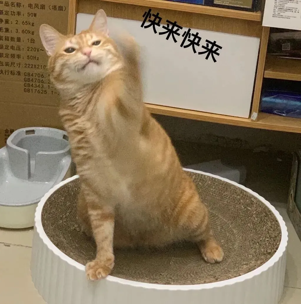 2026年芜湖中考各科考试时间及分数! 第2张