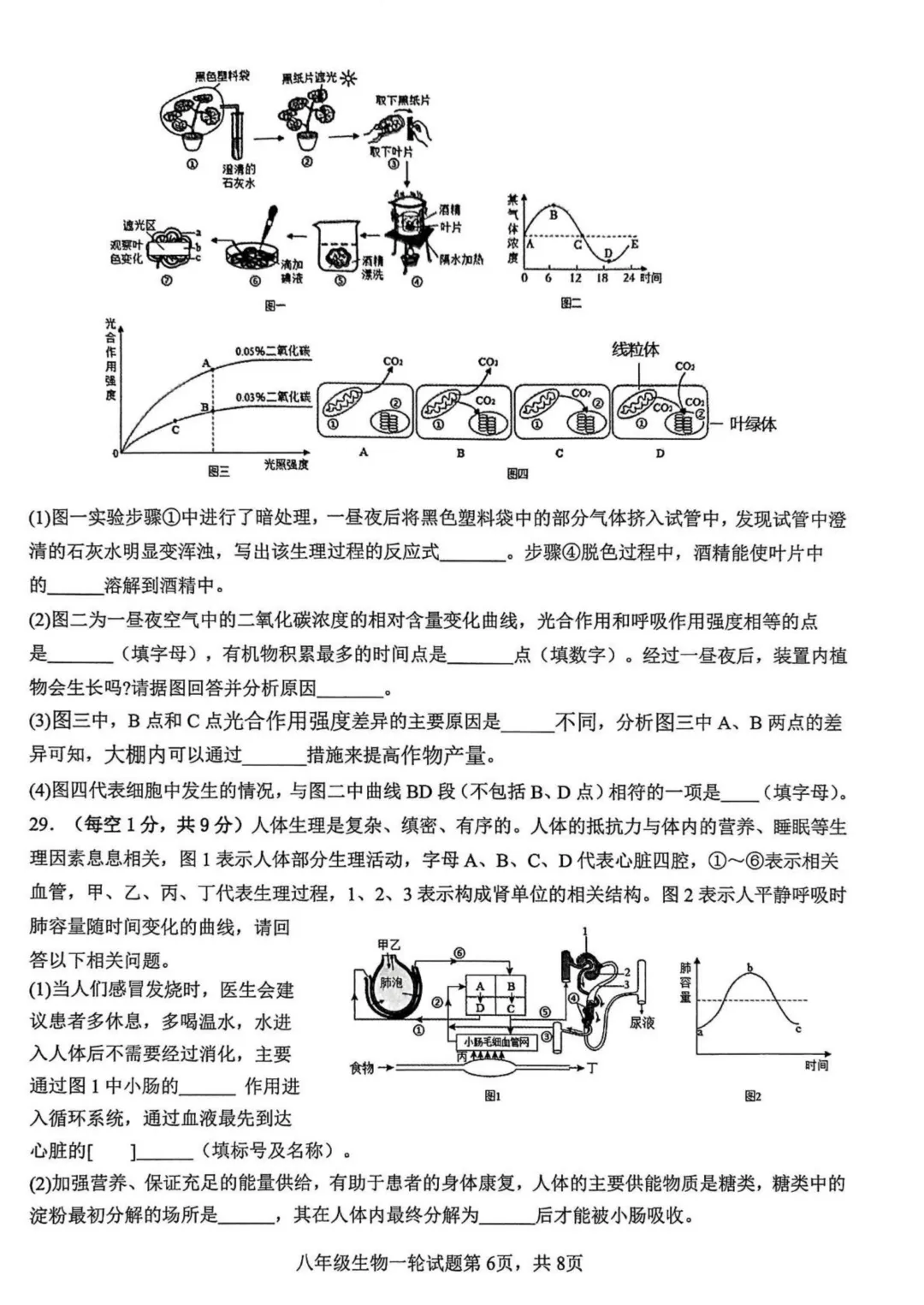地生一模真题-2025年山东省临沂市费县中考一模生物试卷(完整版 + 答案) 第9张