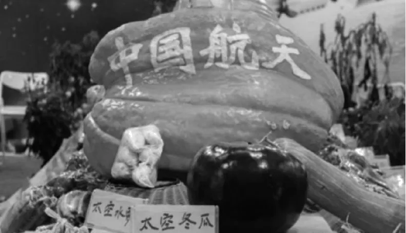 中考地理复习特辑——专题一:地球在宇宙中 第5张