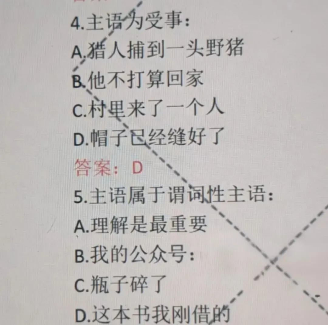 现代汉语常考真题选择题分析题 第3张