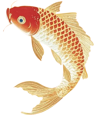 【若水·护航】以梦为马 冲刺中考——2026届九年级表彰暨赋能大会圆满举行 第3张